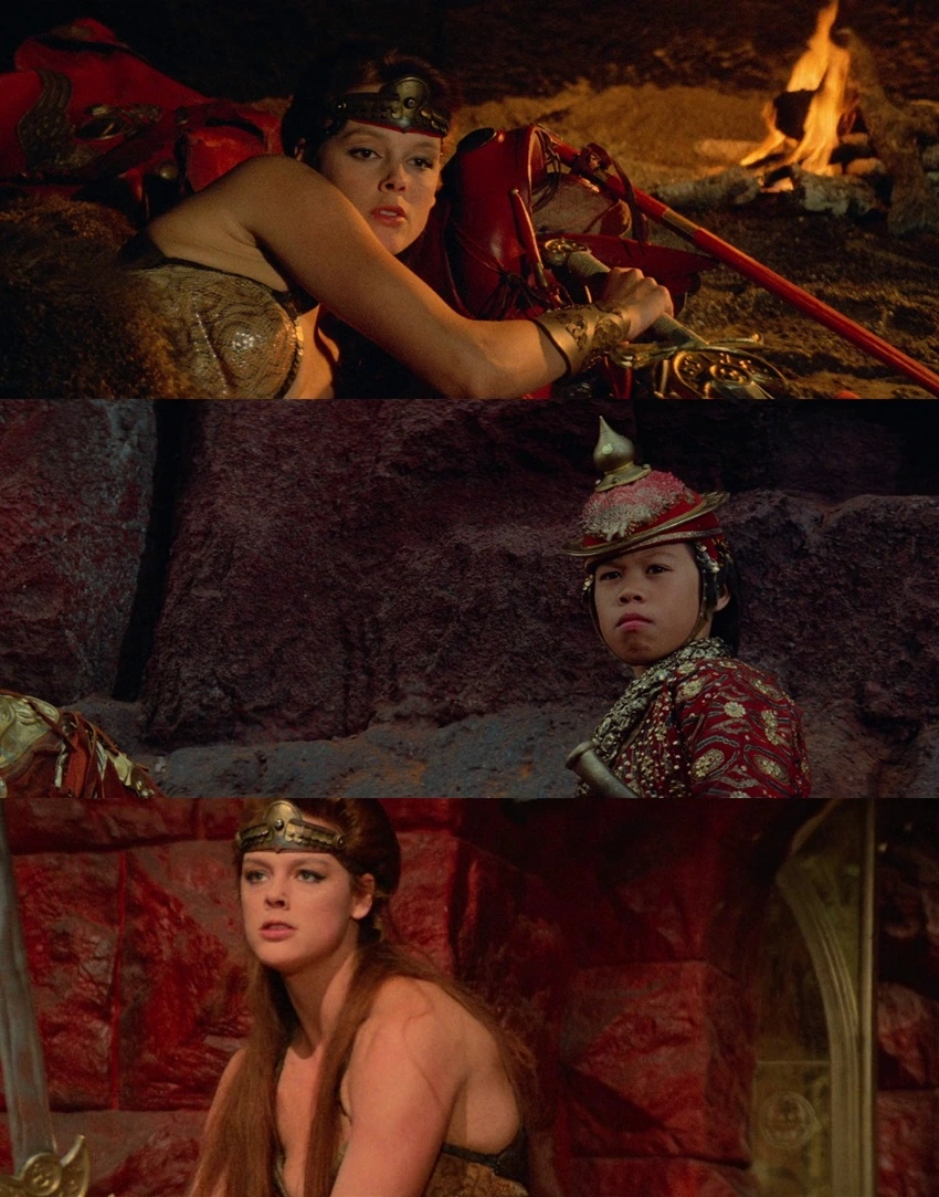Download Red Sonja (1985) Hindi (DD2.0) & English BluRay 480p 720p 1080p