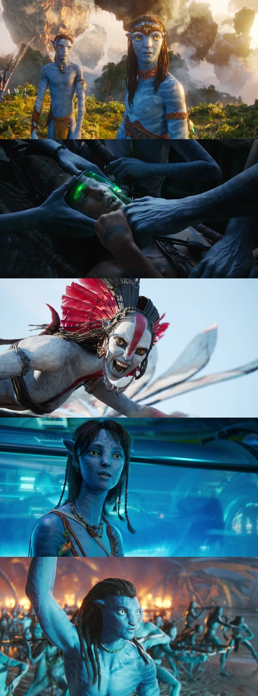 Download Avatar: Fire and Ash (2025) Hindi DD5.1 – English DD5.1 IMAX BluRay 480p 720p 1080p