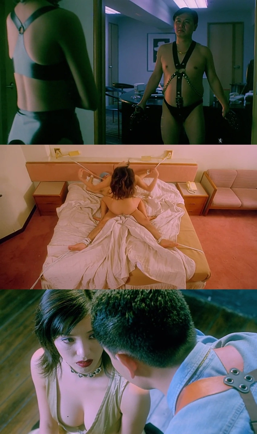 Download Evil Instinct (1996) Hindi ORG + English BluRay 480p 720p 1080p