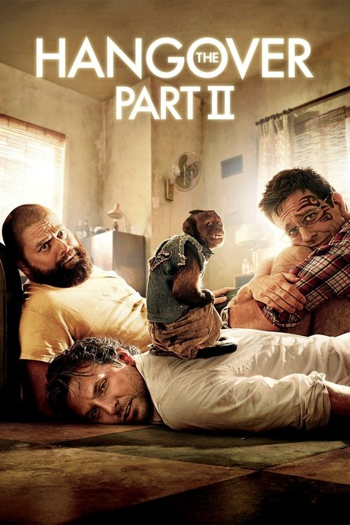 Download The Hangover Part II (2011) Hindi & English BluRay 480p 720p 1080p