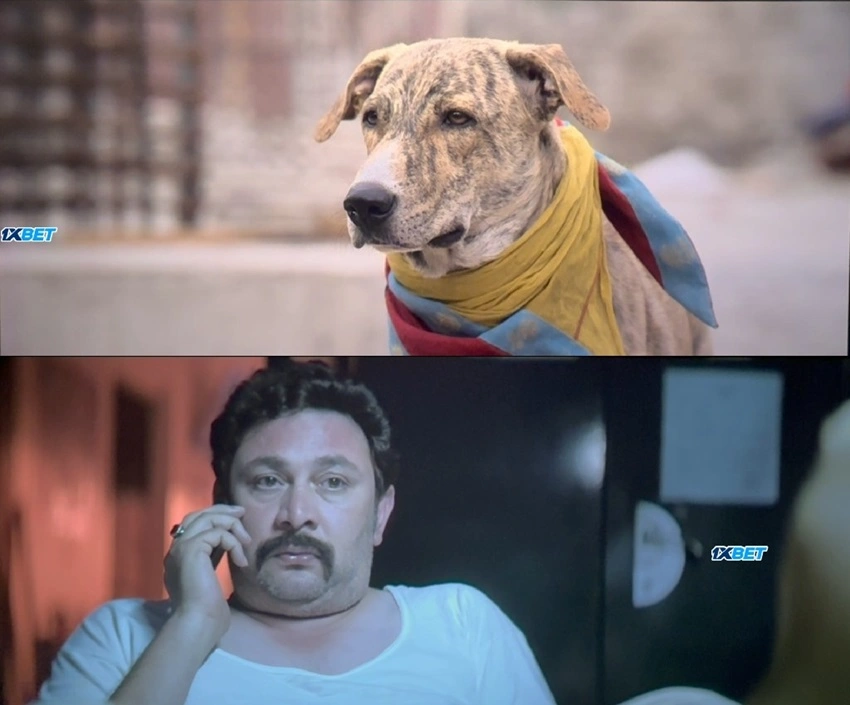 Download Ohh My Dog (2026) Hindi (DD2.0) HDTC 480p 720p 1080p