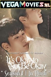 Download It’s Okay to Not Be Okay (Season 1) Dual Audio [Hindi-Korean] Complete Netflix Web Series 480p [200MB] | 720p [500MB]