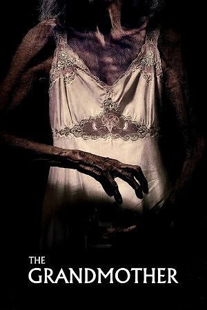 Download The Grandmother (2019) Dual Audio {Hindi-English} BluRay 480p [350MB] | 720p [950MB] | 1080p [2GB]