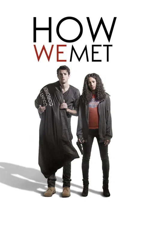 Download How We Met (2016) WEB-DL Dual Audio {Hindi-English} 480p [350MB] | 720p [850MB] | 1080p [2GB]