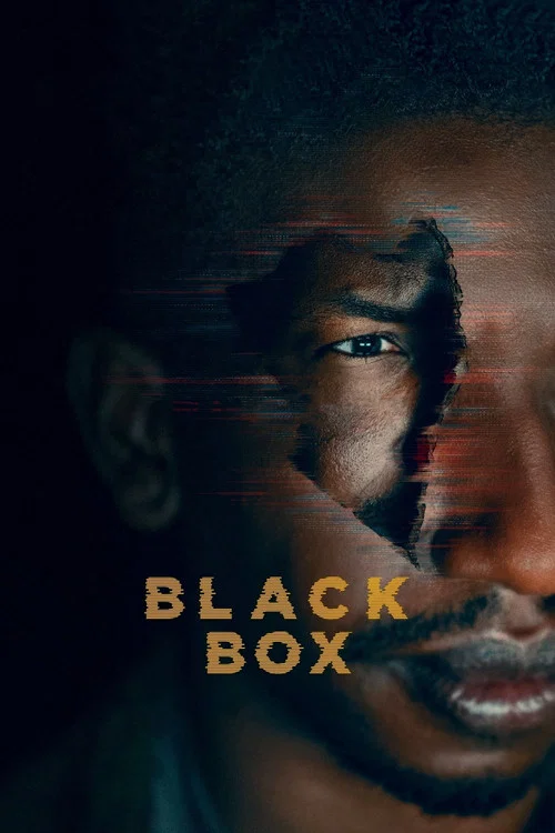Download Black Box (2020) Full Movie in English 480p [450MB] | 720p [960MB]