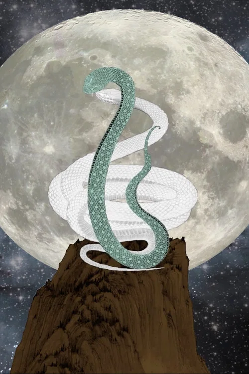 Download Snakes 2 (2019) WEB-DL Dual Audio {Hindi-Chinese} 480p [590MB] | 720p [1.2GB] | 1080p [2GB]