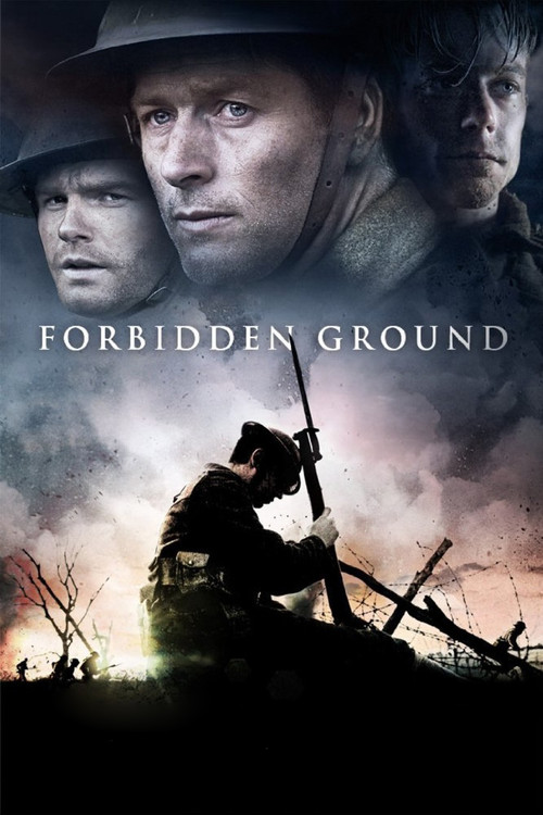 Download Forbidden Ground (2013) Dual Audio {Hindi-English} 480p [300MB] | 720p [850MB]