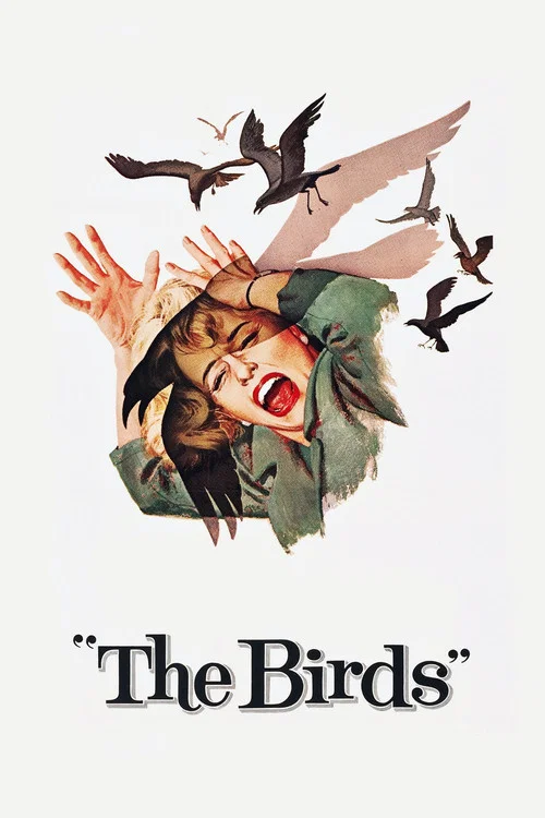 Download The Birds (1963) Dual Audio {Hindi-English} 480p [400MB] | 720p [1.2GB] | 1080p [2.5GB]