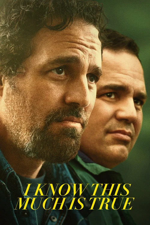 Download I Know This Much Is True Season 1 (2019) {English With Subtitles} WeB-DL 720p [300MB]