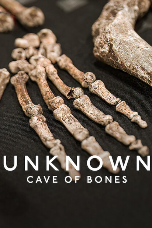 Download Unknown: Cave of Bones (2023) WEB-DL Dual Audio {Hindi-English} 480p [320MB] | 720p [850MB] | 1080p [2GB]