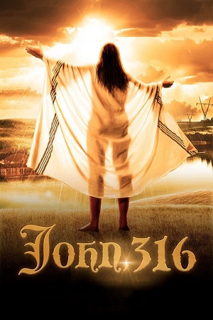 Download John, 316 (2021) Dual Audio {Hindi-English} WEB-DL 480p [350MB] | 720p [950MB] | 1080p [2.1GB]