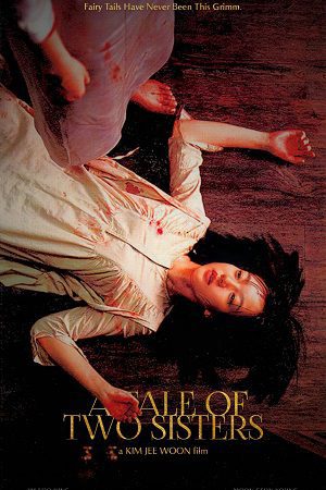 Download A Tale of Two Sisters (2003) BluRay Dual Audio {Hindi-Korean} 480p [410MB] | 720p [980MB] | 1080p [3.4GB]