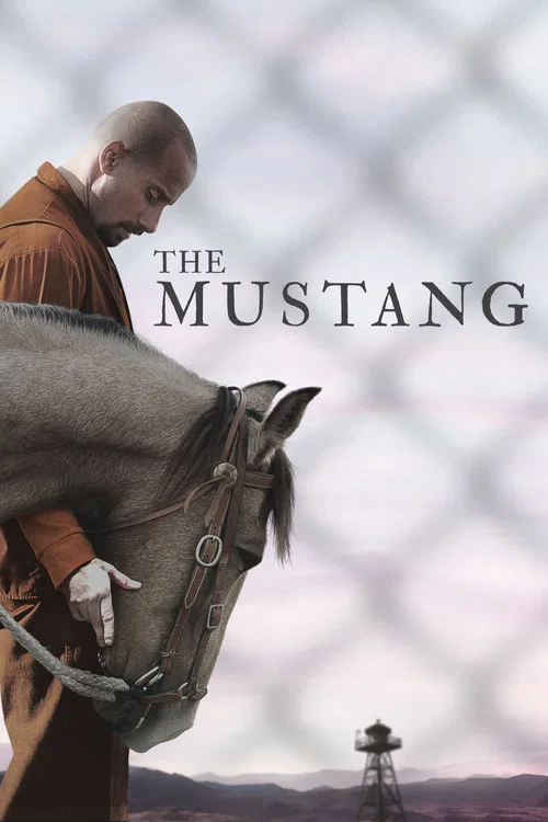 Download The Mustang (2019) Dual Audio {Hindi-English} 480p [300MB] | 720p [850MB] | 1080p [1.8GB]