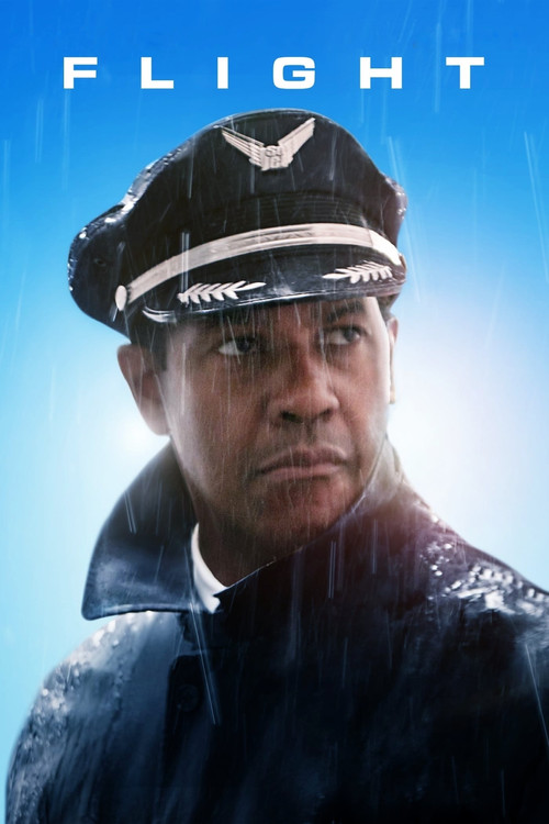 Download Flight (2012) BluRay Dual Audio {Hindi-English} 480p [450MB] | 720p [1.2GB] | 1080p [3GB]