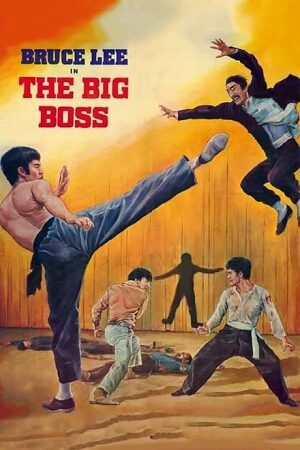 Download The Big Boss (1971) BluRay Dual Audio {Hindi-English} 480p [330MB] | 720p [800MB] | 1080p [2.2GB] Full-Movie