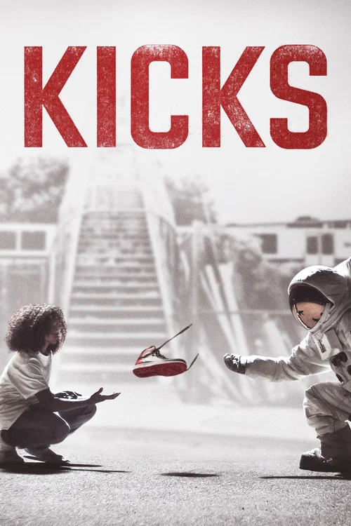 Download Kicks (2016) Dual Audio {Hindi-English} 480p [300MB] | 720p [850MB]